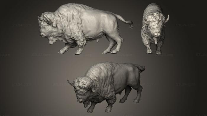 Animal figurines (bison, STKJ_0005) 3D models for cnc